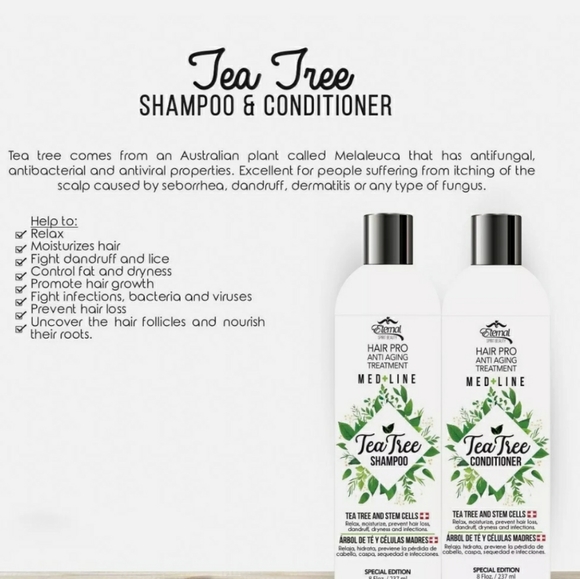 Tea Tree Shampoo & Conditioner - Picture 5 of 7